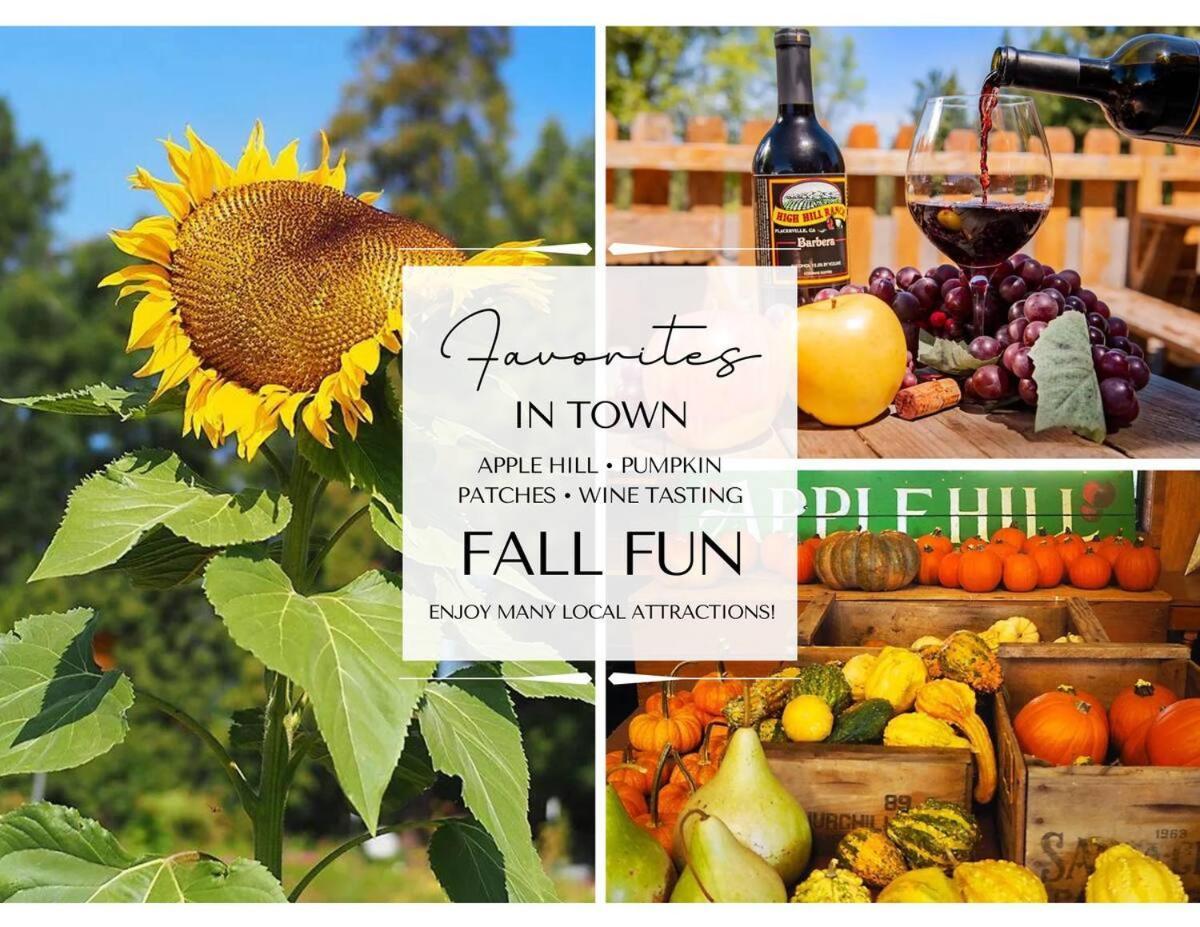 Holiday home In The Pines - Apple Hill - Dog Friendly - Snow Nearby