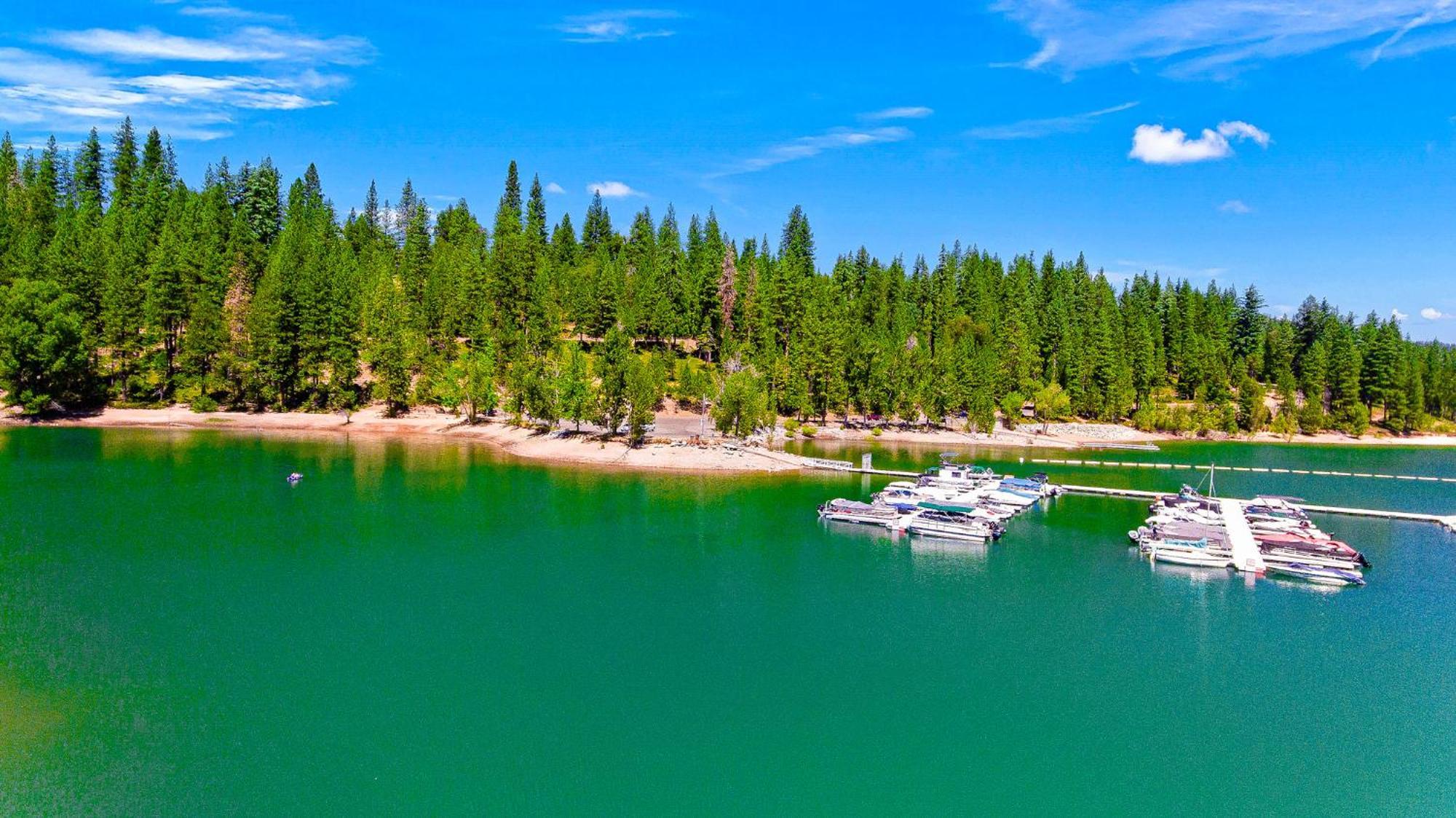 In The Pines - Apple Hill - Dog Friendly - Snow Nearby * Pollock Pines