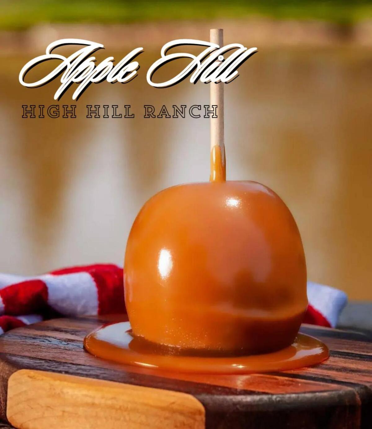 In The Pines - Apple Hill - Dog Friendly - Snow Nearby Pollock Pines